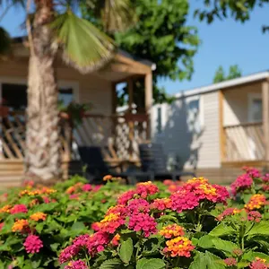 Camping El Pinar Blanes